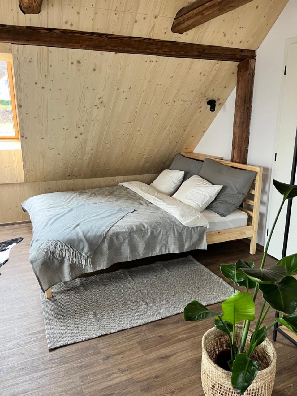 Sanky Apartmany リベレツ エクステリア 写真