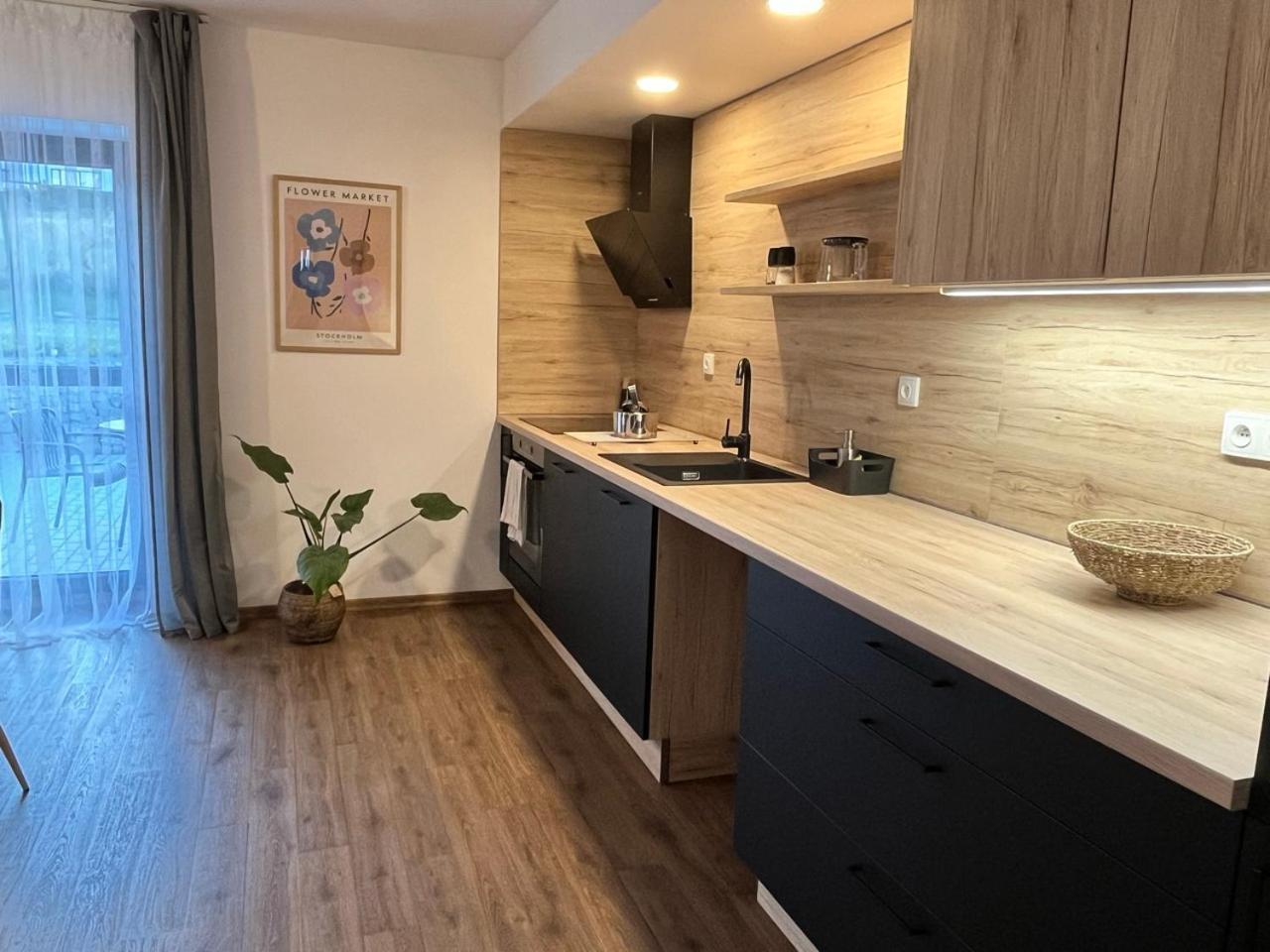 Sanky Apartmany リベレツ エクステリア 写真